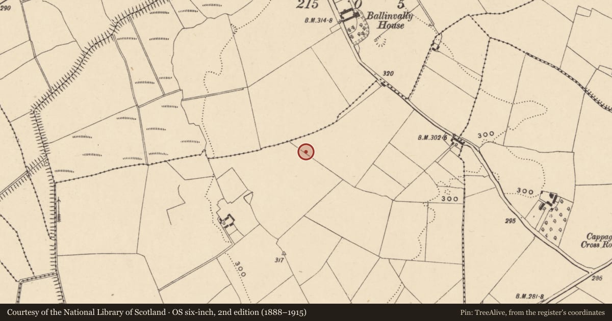 Ordnance Survey six-inch map, 2nd edition (1888–1915) covering the location of Enclosure, Ballyleen, County Carlow, with a pin at the register's coordinates