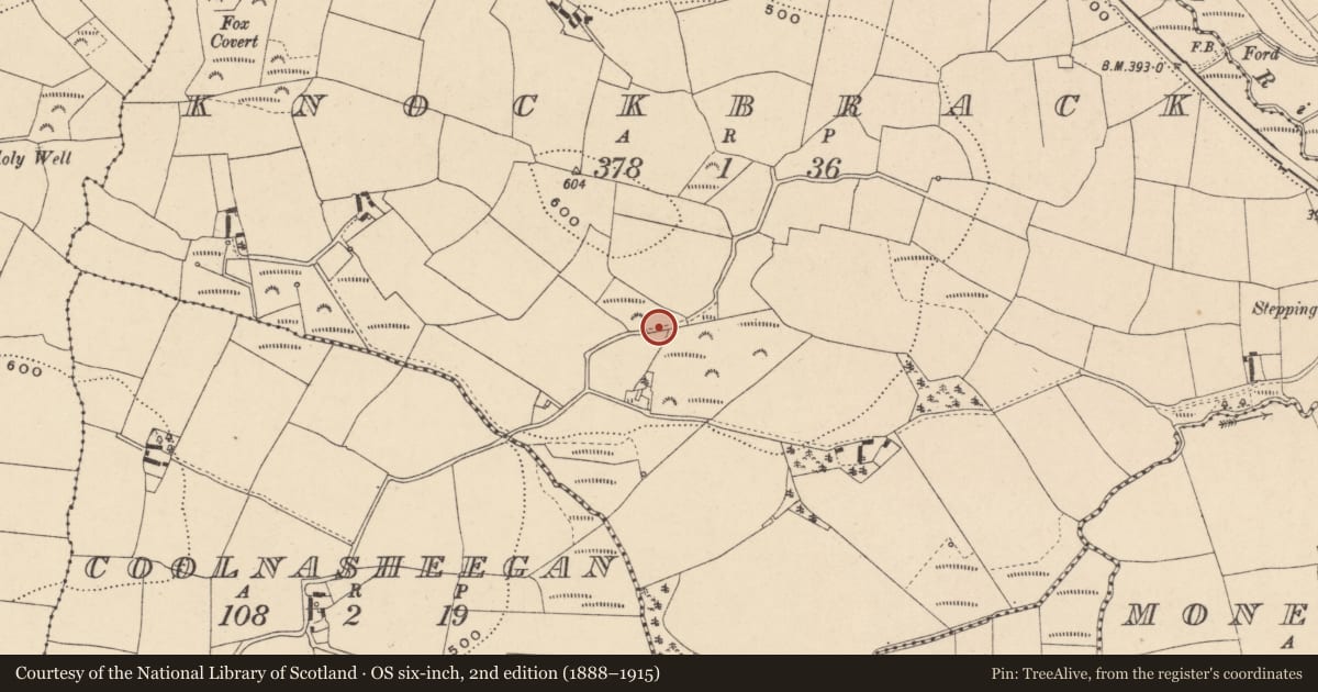 Ordnance Survey six-inch map, 2nd edition (1888–1915) covering the location of Rock art, Knockbrack, County Carlow, with a pin at the register's coordinates