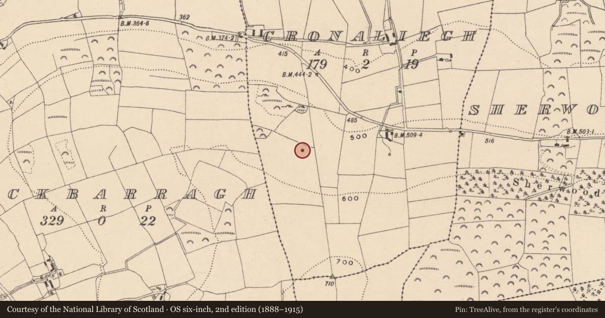 Ordnance Survey six-inch map, 2nd edition (1888–1915) covering the location of Cairn - ring-cairn, Cronaliegh, County Carlow, with a pin at the register's coordinates