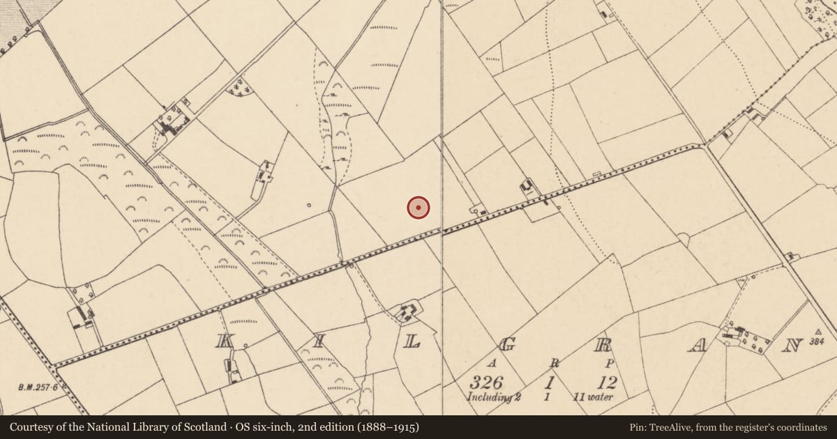 Ordnance Survey six-inch map, 2nd edition (1888–1915) covering the location of Enclosure, Kilbride, County Carlow, with a pin at the register's coordinates
