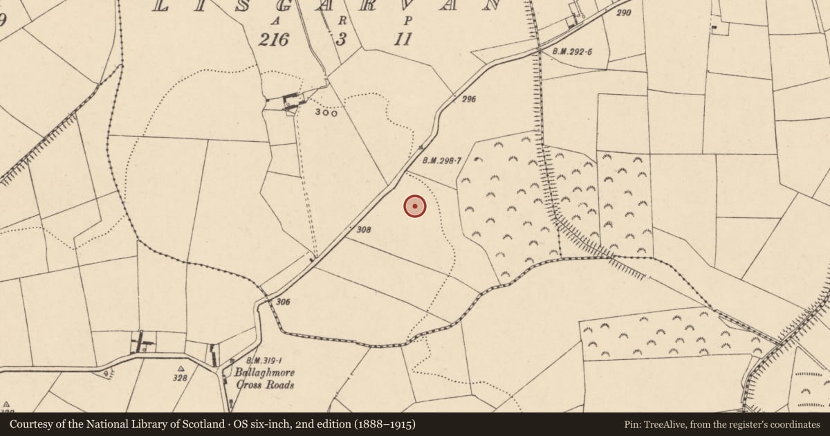 Ordnance Survey six-inch map, 2nd edition (1888–1915) covering the location of Enclosure, Lisgarvan, County Carlow, with a pin at the register's coordinates