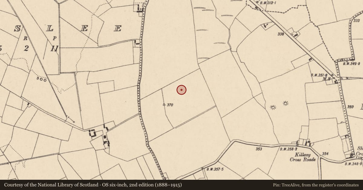 Ordnance Survey six-inch map, 2nd edition (1888–1915) covering the location of Enclosure, Shangarry, County Carlow, with a pin at the register's coordinates