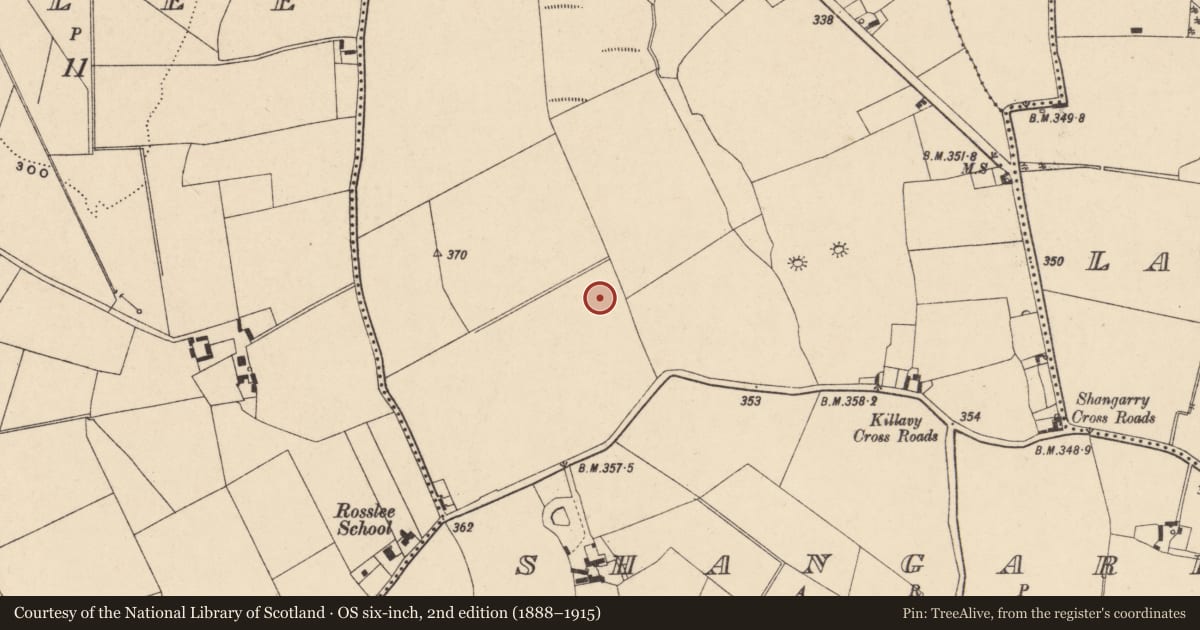 Ordnance Survey six-inch map, 2nd edition (1888–1915) covering the location of Ring-ditch, Shangarry, County Carlow, with a pin at the register's coordinates