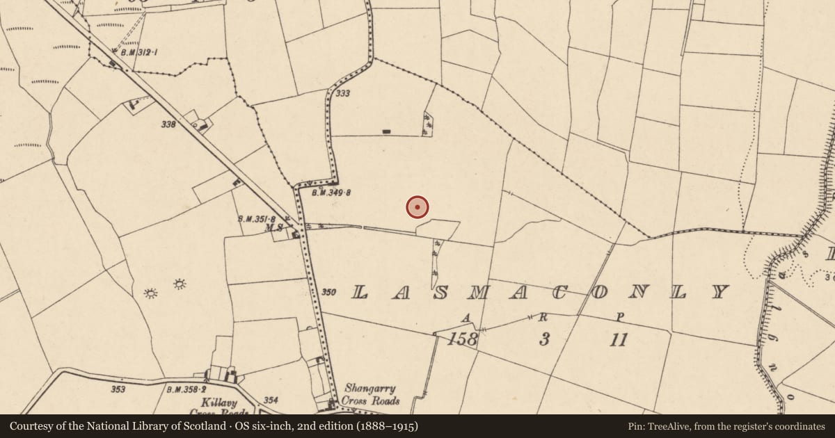 Ordnance Survey six-inch map, 2nd edition (1888–1915) covering the location of Enclosure, Lasmaconly, County Carlow, with a pin at the register's coordinates