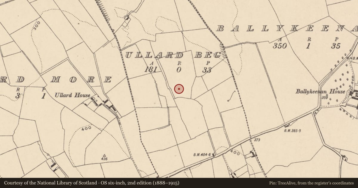 Ordnance Survey six-inch map, 2nd edition (1888–1915) covering the location of Enclosure, Ullard Beg, County Carlow, with a pin at the register's coordinates