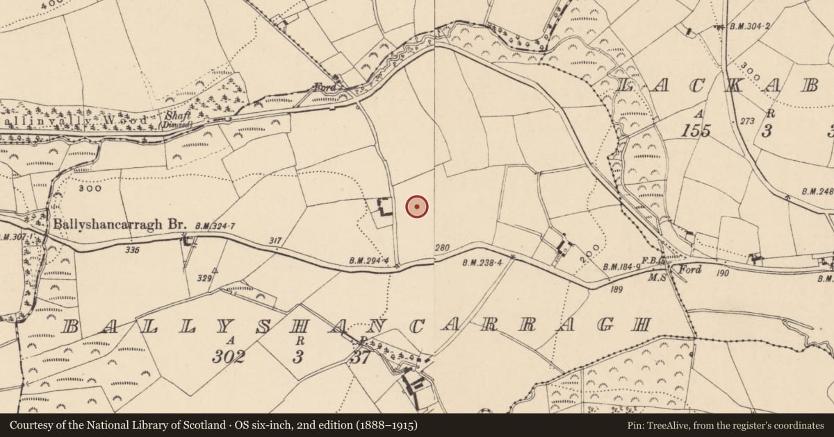 Ordnance Survey six-inch map, 2nd edition (1888–1915) covering the location of Enclosure, Ballyshancarragh, County Carlow, with a pin at the register's coordinates