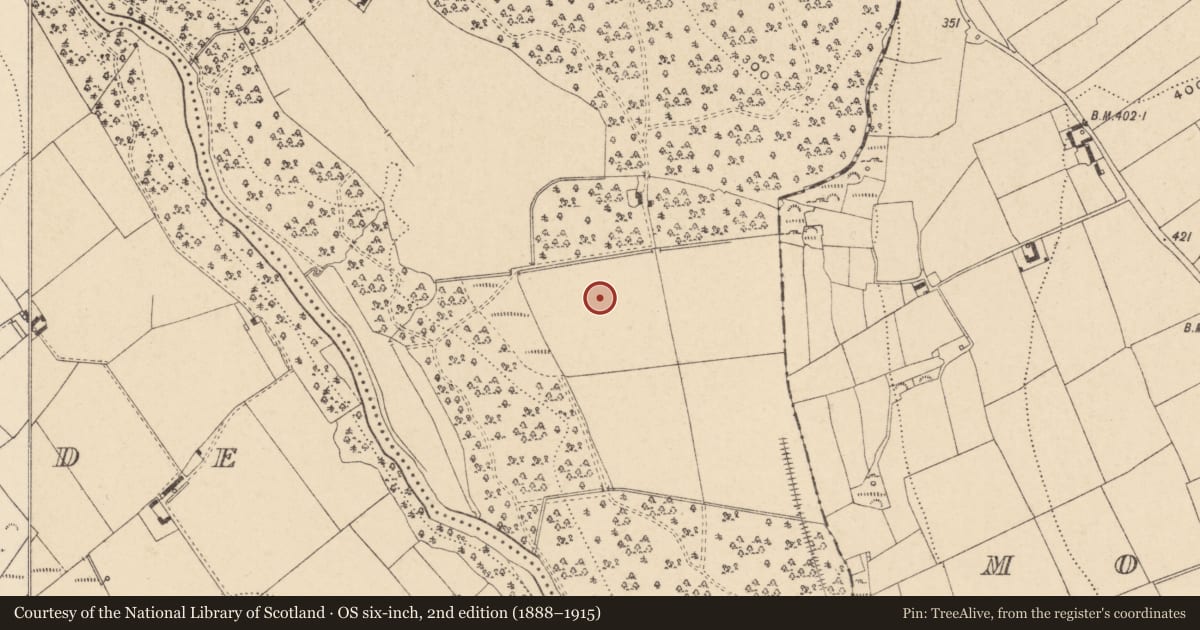 Ordnance Survey six-inch map, 2nd edition (1888–1915) covering the location of Enclosure, Ballintemple, County Carlow, with a pin at the register's coordinates