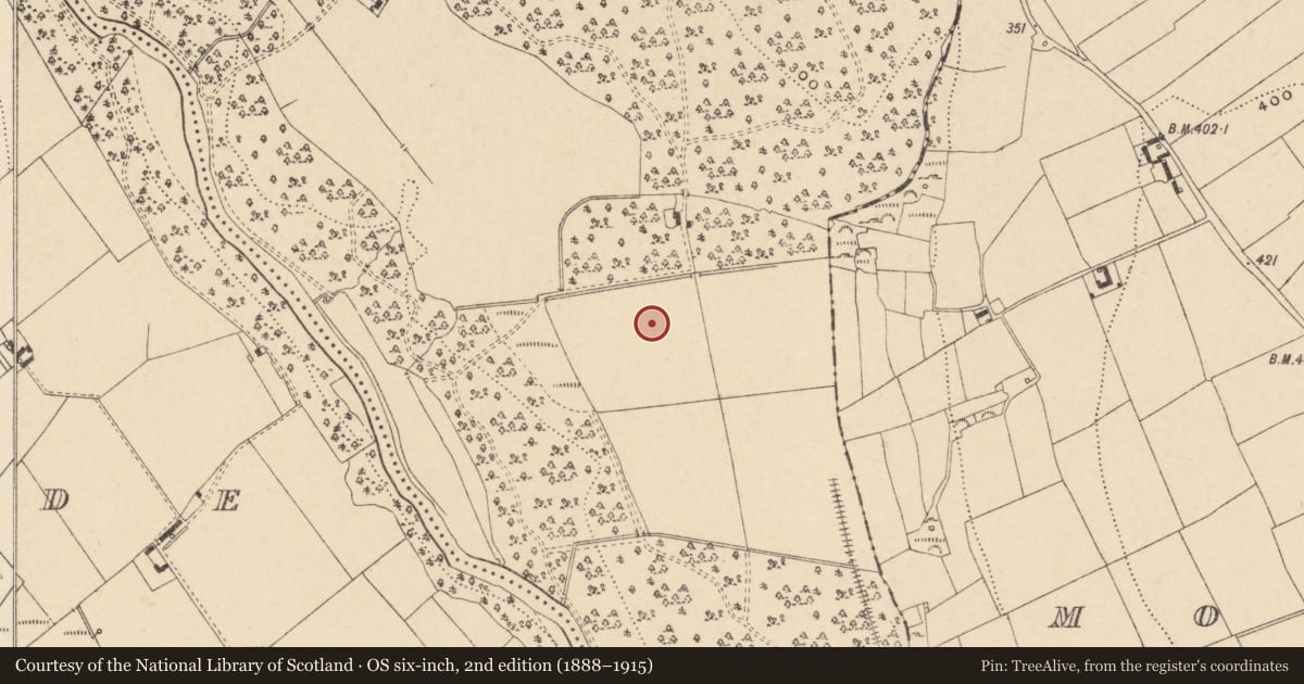 Ordnance Survey six-inch map, 2nd edition (1888–1915) covering the location of Enclosure, Ballintemple, County Carlow, with a pin at the register's coordinates