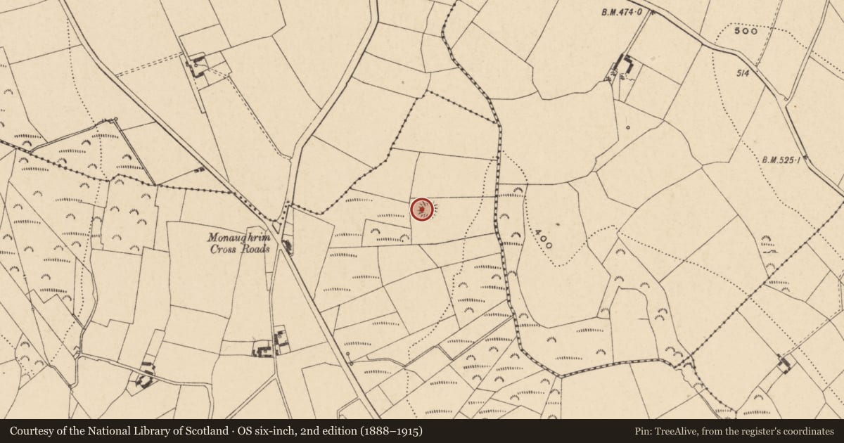 Ordnance Survey six-inch map, 2nd edition (1888–1915) covering the location of Enclosure, Monaughrim, County Carlow, with a pin at the register's coordinates