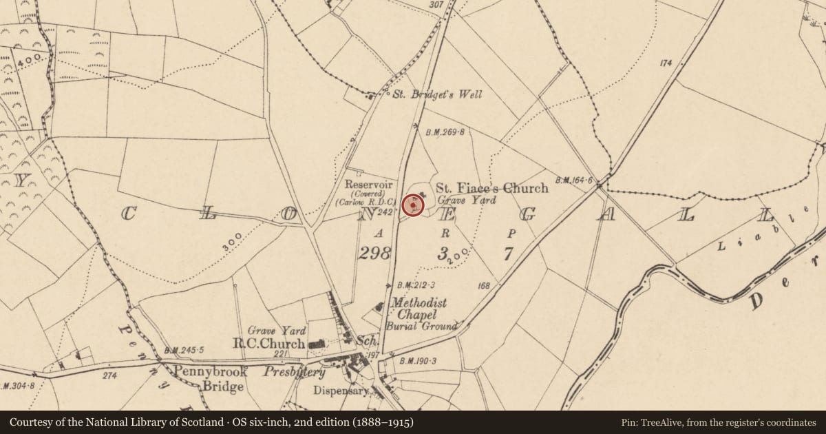 Ordnance Survey six-inch map, 2nd edition (1888–1915) covering the location of Graveslab, Clonegall, County Carlow, with a pin at the register's coordinates