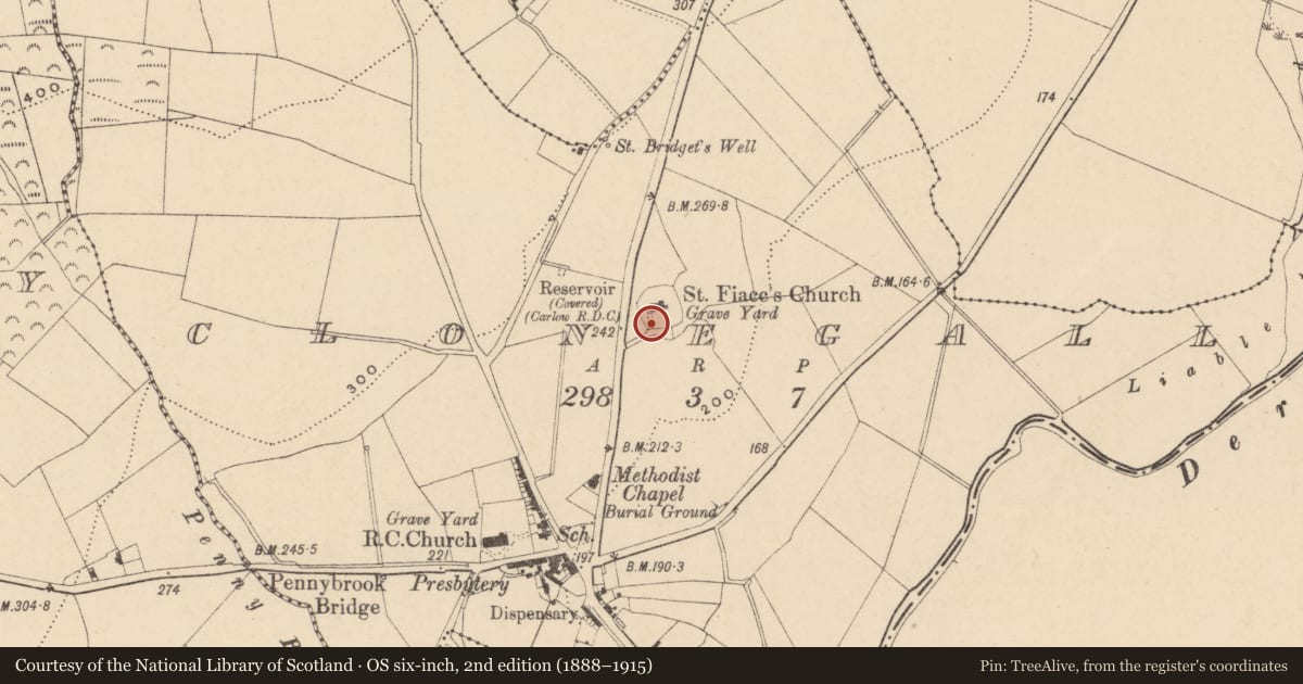 Ordnance Survey six-inch map, 2nd edition (1888–1915) covering the location of Graveslab, Clonegall, County Carlow, with a pin at the register's coordinates
