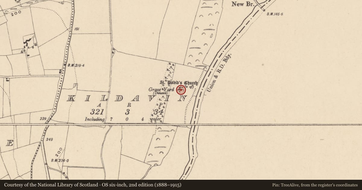 Ordnance Survey six-inch map, 2nd edition (1888–1915) covering the location of Church, Kildavin, County Carlow, with a pin at the register's coordinates