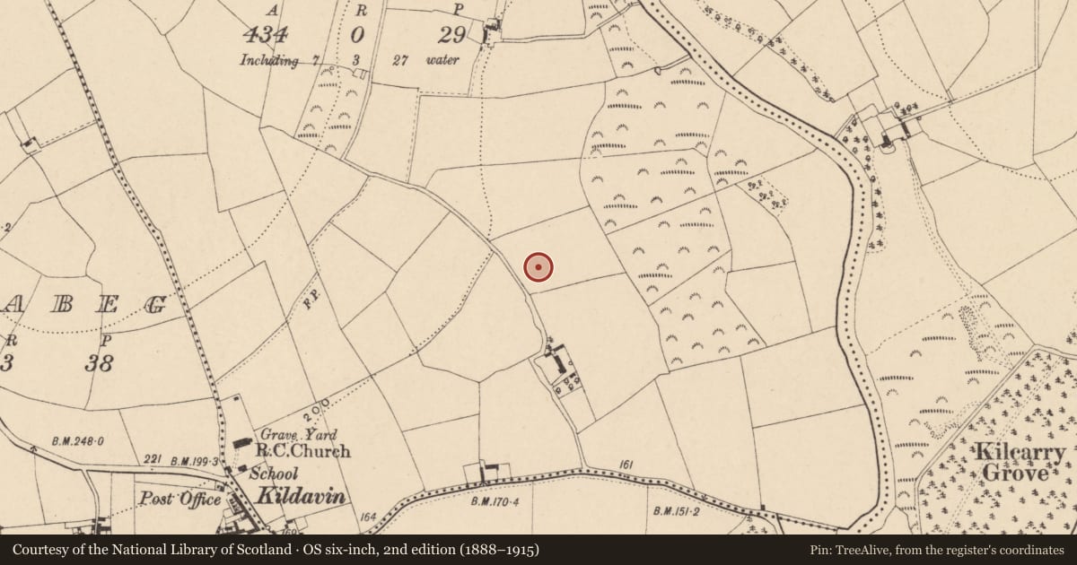 Ordnance Survey six-inch map, 2nd edition (1888–1915) covering the location of Enclosure, Crowsgrove, County Carlow, with a pin at the register's coordinates