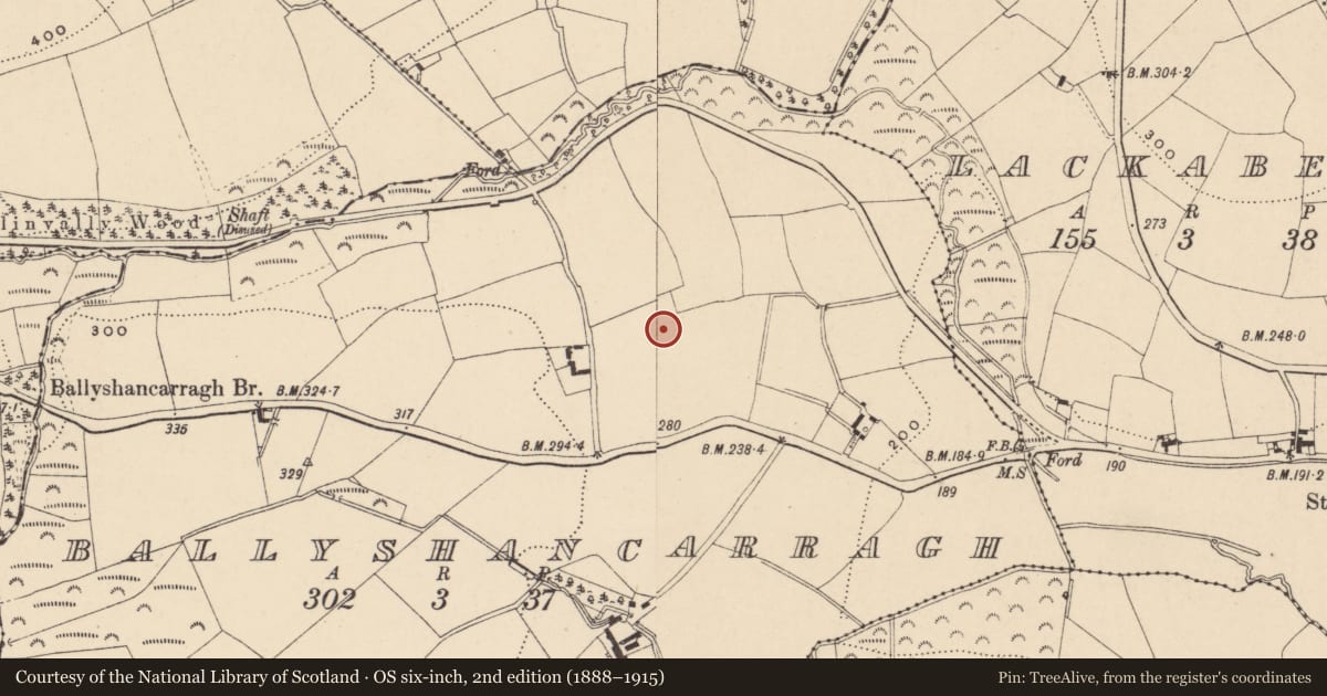 Ordnance Survey six-inch map, 2nd edition (1888–1915) covering the location of Ring-ditch, Ballyshancarragh, County Carlow, with a pin at the register's coordinates