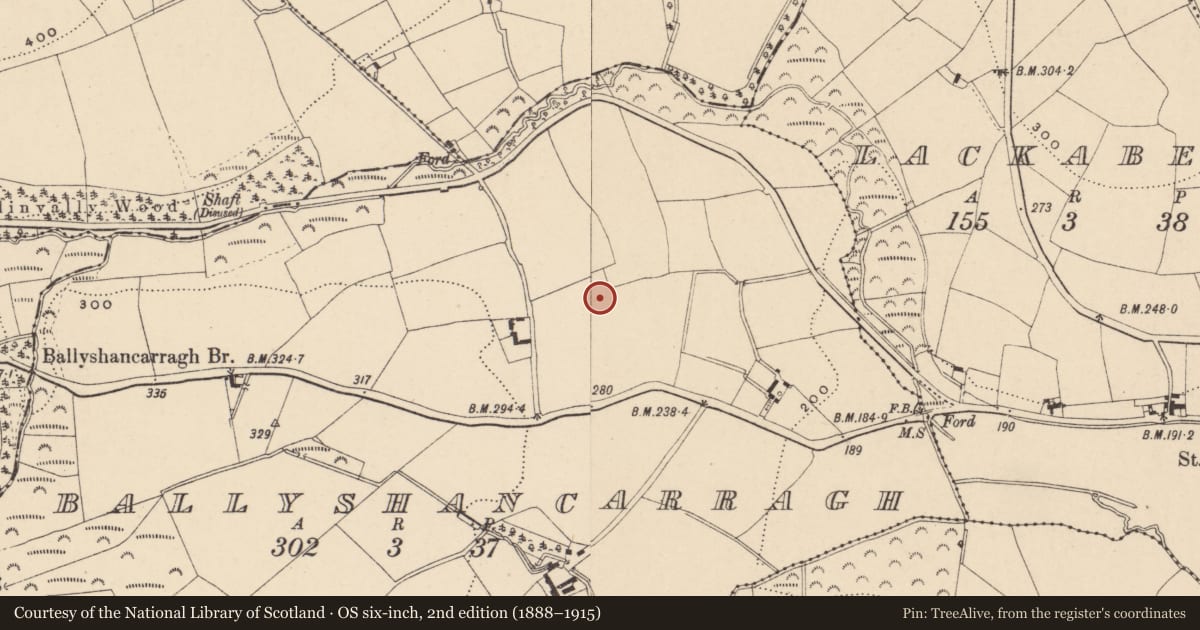 Ordnance Survey six-inch map, 2nd edition (1888–1915) covering the location of Ring-ditch, Ballyshancarragh, County Carlow, with a pin at the register's coordinates