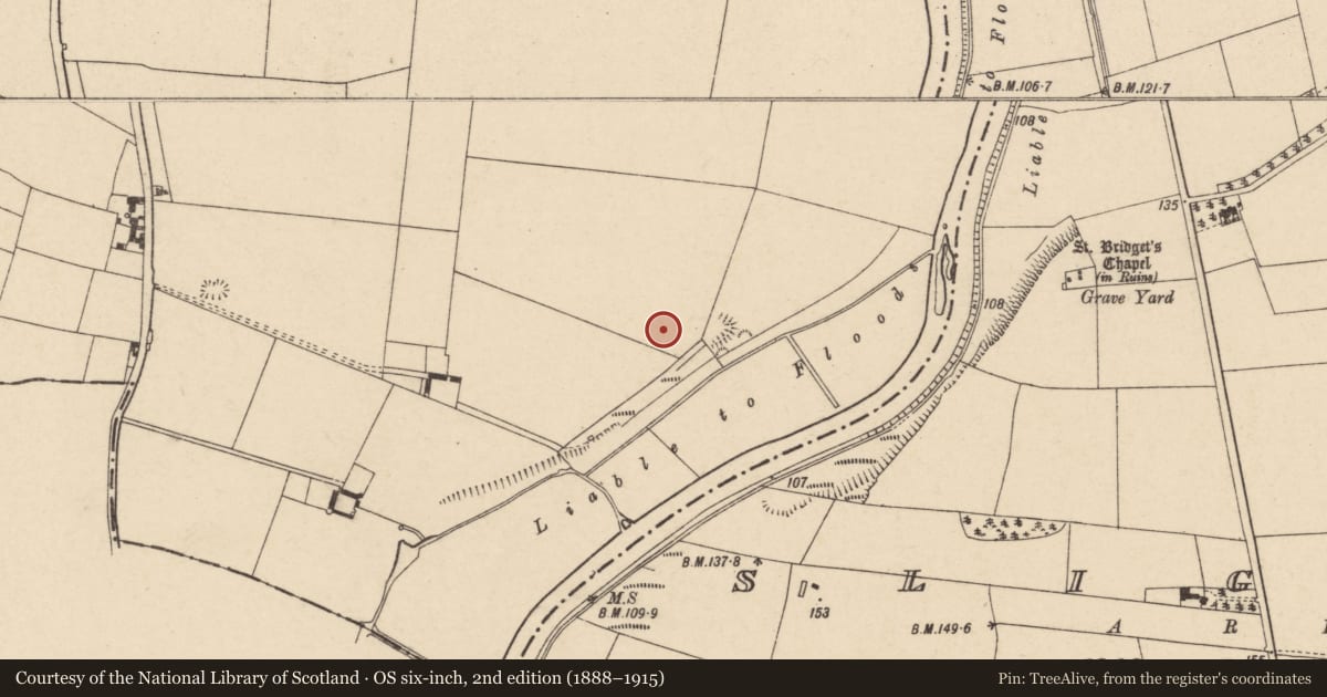 Ordnance Survey six-inch map, 2nd edition (1888–1915) covering the location of Ringfort - rath, Fenniscourt, County Carlow, with a pin at the register's coordinates