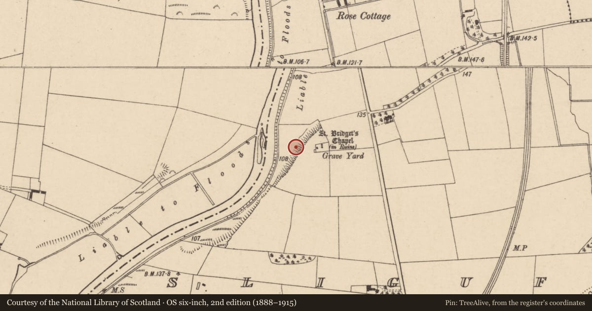Ordnance Survey six-inch map, 2nd edition (1888–1915) covering the location of Graveyard, Sliguff, County Carlow, with a pin at the register's coordinates