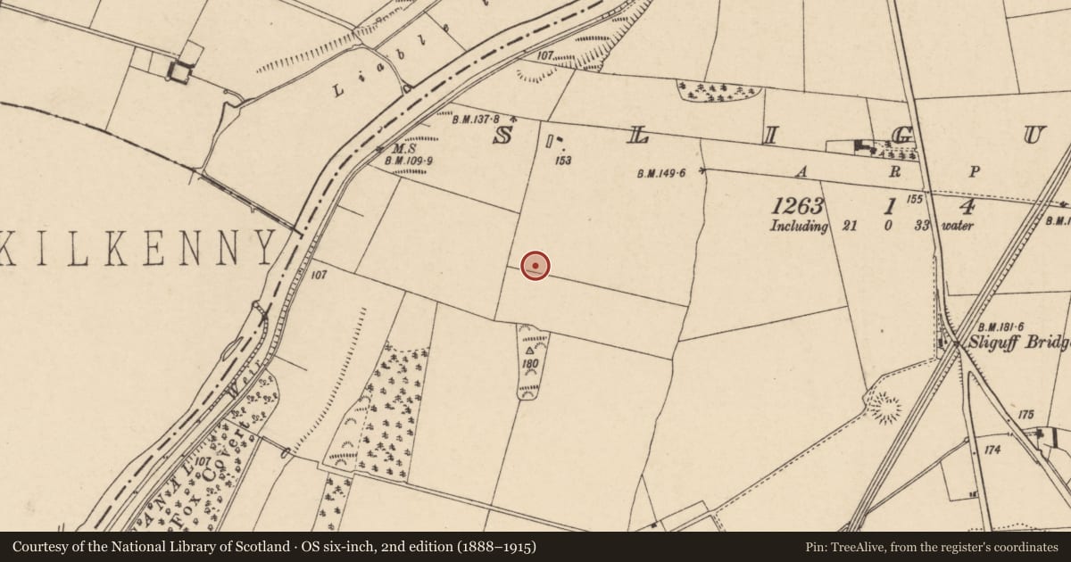 Ordnance Survey six-inch map, 2nd edition (1888–1915) covering the location of Enclosure, Sliguff, County Carlow, with a pin at the register's coordinates