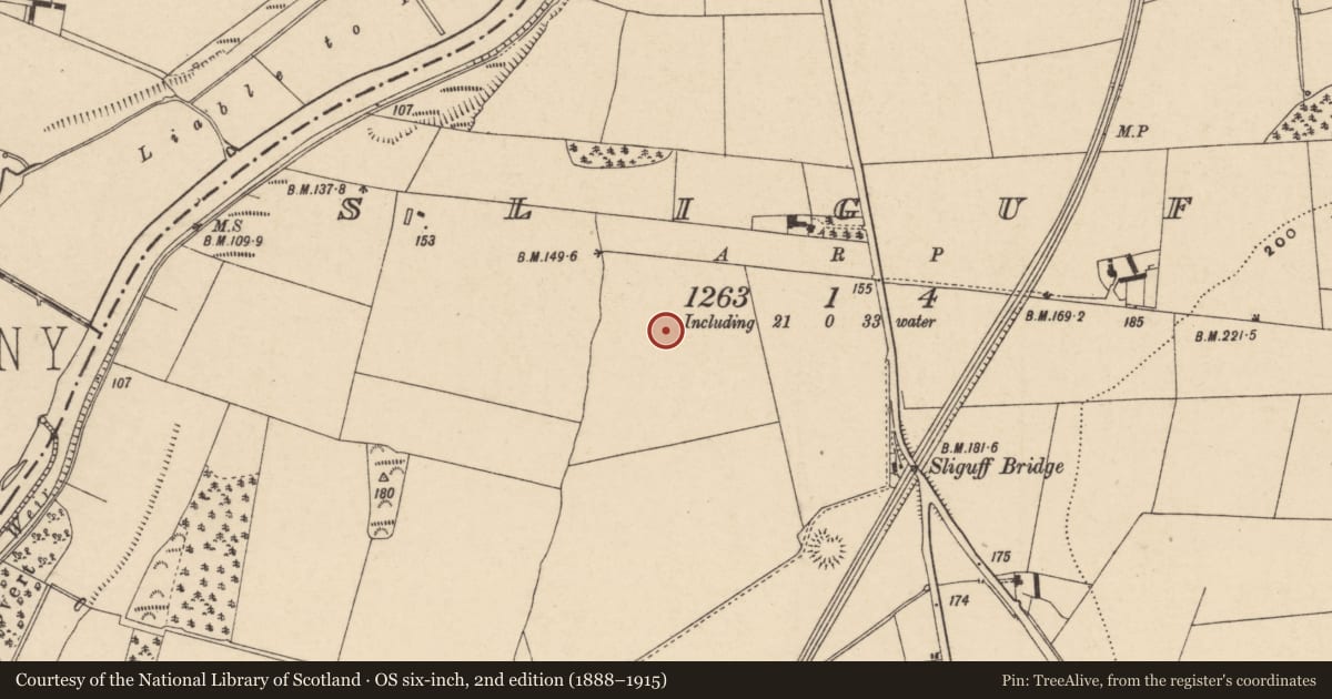 Ordnance Survey six-inch map, 2nd edition (1888–1915) covering the location of Cist, Sliguff, County Carlow, with a pin at the register's coordinates