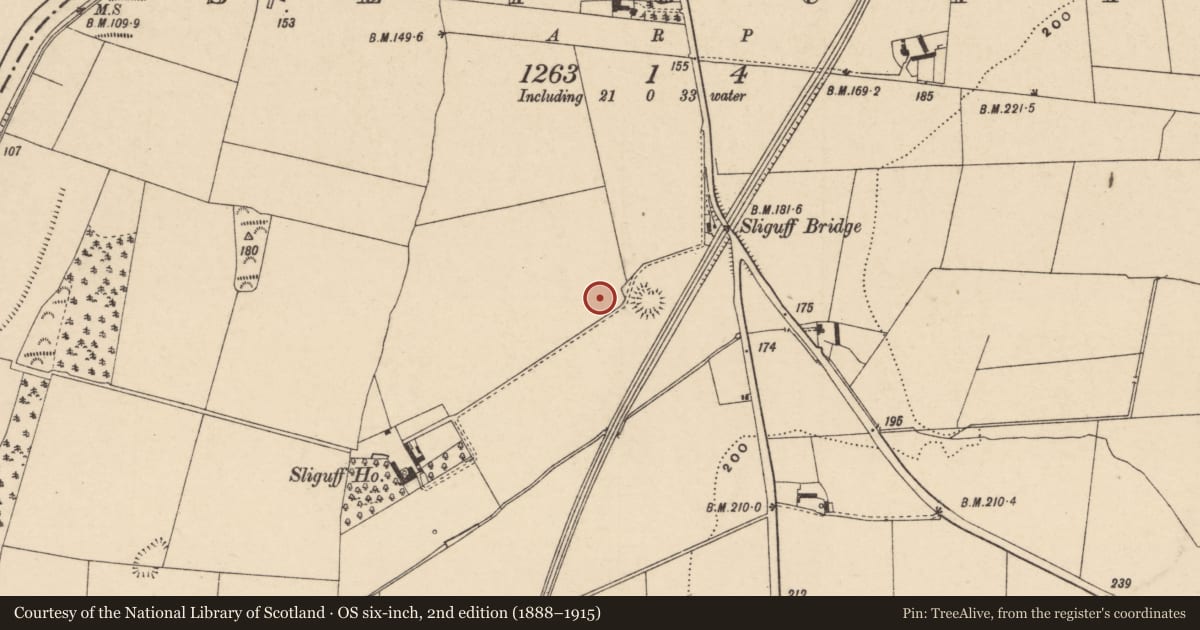Ordnance Survey six-inch map, 2nd edition (1888–1915) covering the location of Ringfort - rath, Sliguff, County Carlow, with a pin at the register's coordinates