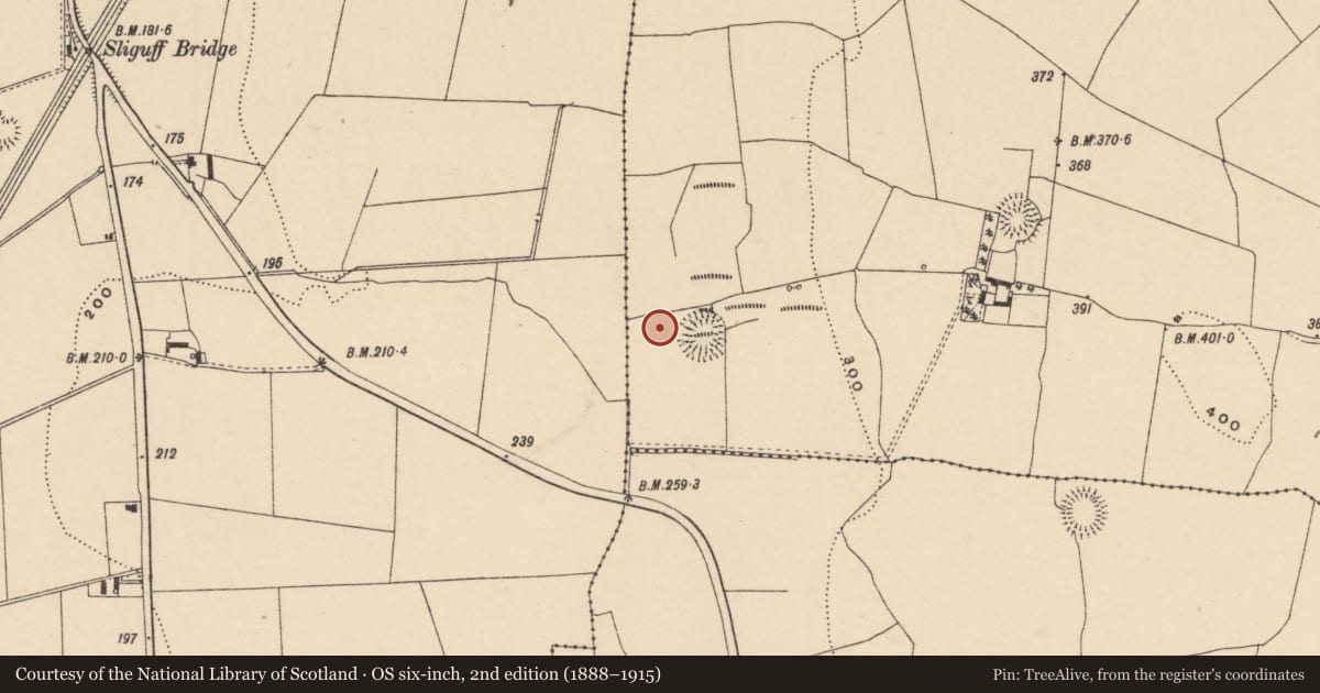 Ordnance Survey six-inch map, 2nd edition (1888–1915) covering the location of Ringfort - rath, Glannahary, County Carlow, with a pin at the register's coordinates