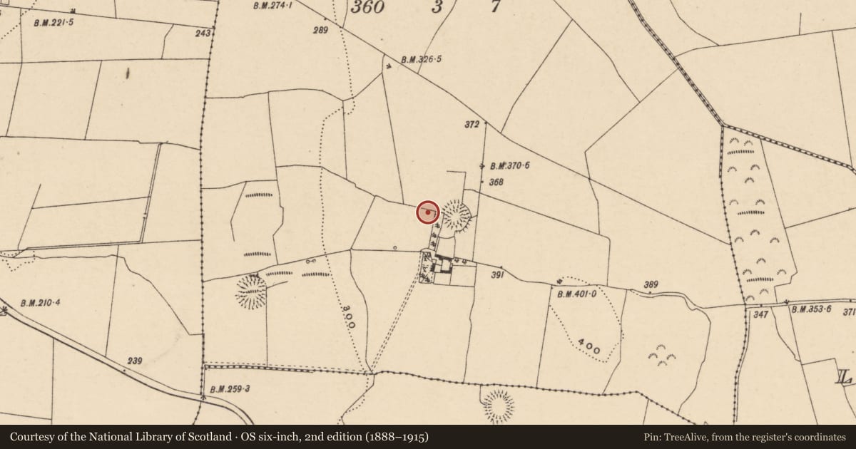 Ordnance Survey six-inch map, 2nd edition (1888–1915) covering the location of Ringfort - rath, Glannahary, County Carlow, with a pin at the register's coordinates
