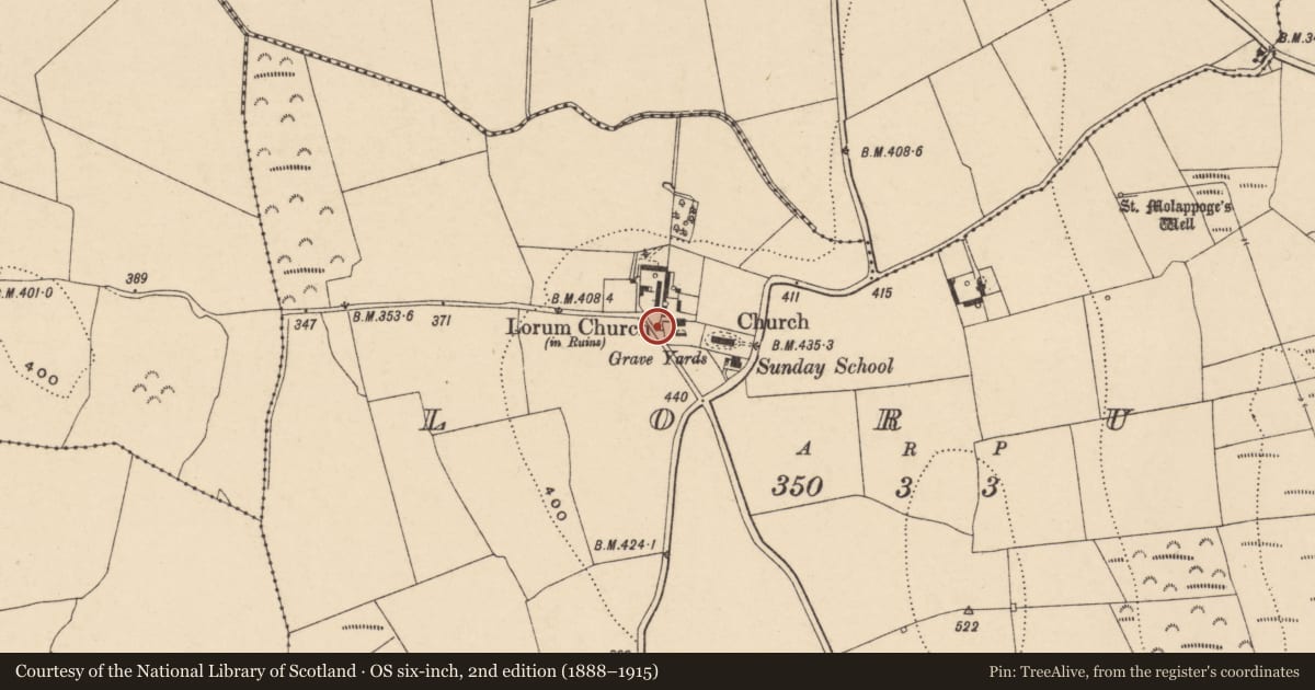 Ordnance Survey six-inch map, 2nd edition (1888–1915) covering the location of Graveyard, Lorum, County Carlow, with a pin at the register's coordinates