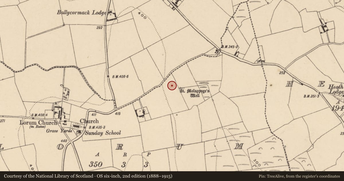 Ordnance Survey six-inch map, 2nd edition (1888–1915) covering the location of Ritual site - holy well, Lorum, County Carlow, with a pin at the register's coordinates