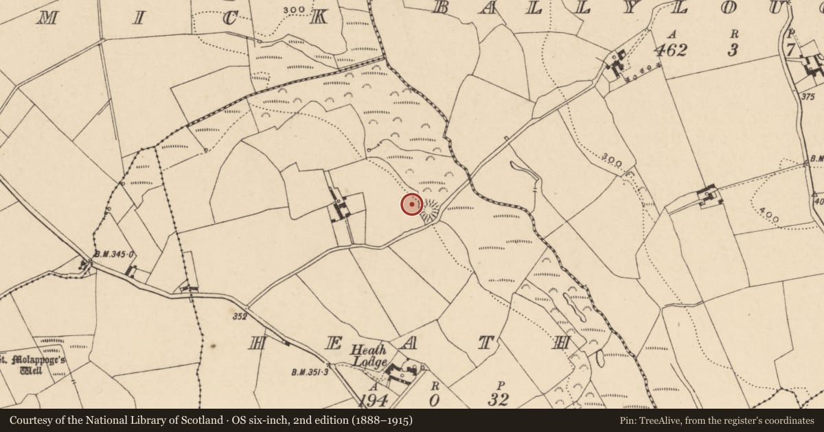 Ordnance Survey six-inch map, 2nd edition (1888–1915) covering the location of Enclosure, Heath, County Carlow, with a pin at the register's coordinates
