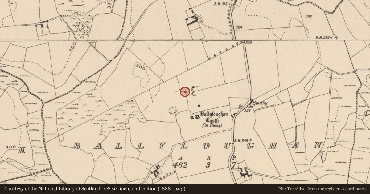 Ordnance Survey six-inch map, 2nd edition (1888–1915) covering the location of House - 17th century, Ballyloughan, County Carlow, with a pin at the register's coordinates