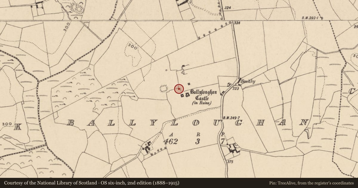 Ordnance Survey six-inch map, 2nd edition (1888–1915) covering the location of Castle - Anglo-Norman masonry castle, Ballyloughan, County Carlow, with a pin at the register's coordinates