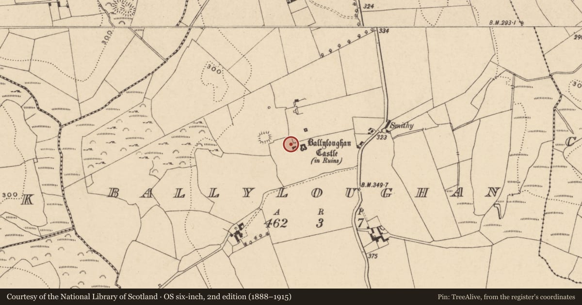 Ordnance Survey six-inch map, 2nd edition (1888–1915) covering the location of Gatehouse, Ballyloughan, County Carlow, with a pin at the register's coordinates