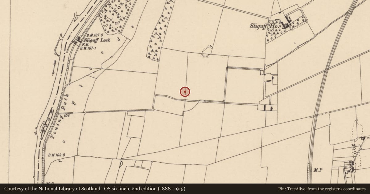 Ordnance Survey six-inch map, 2nd edition (1888–1915) covering the location of Enclosure, Sliguff, County Carlow, with a pin at the register's coordinates