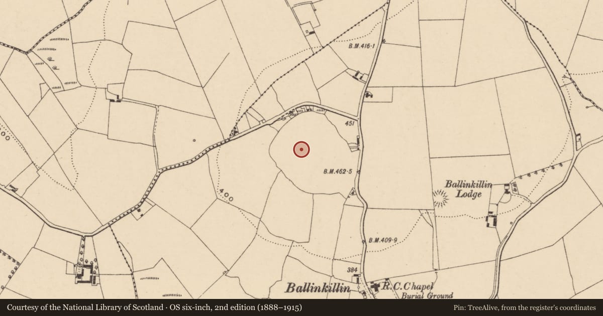 Ordnance Survey six-inch map, 2nd edition (1888–1915) covering the location of Hillfort, Ballinkillin, County Carlow, with a pin at the register's coordinates