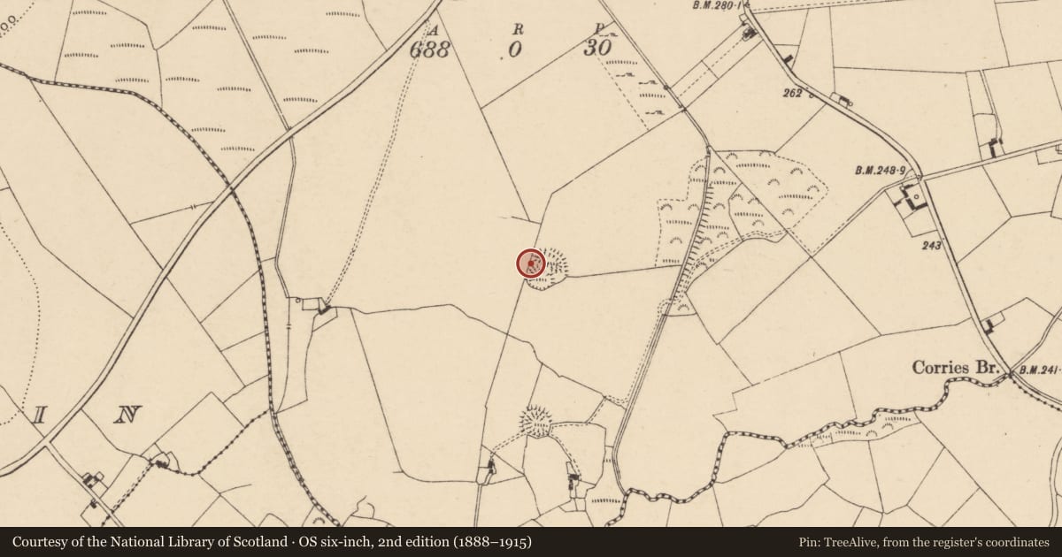 Ordnance Survey six-inch map, 2nd edition (1888–1915) covering the location of Ringfort - rath, Corries Or Corrymore, County Carlow, with a pin at the register's coordinates