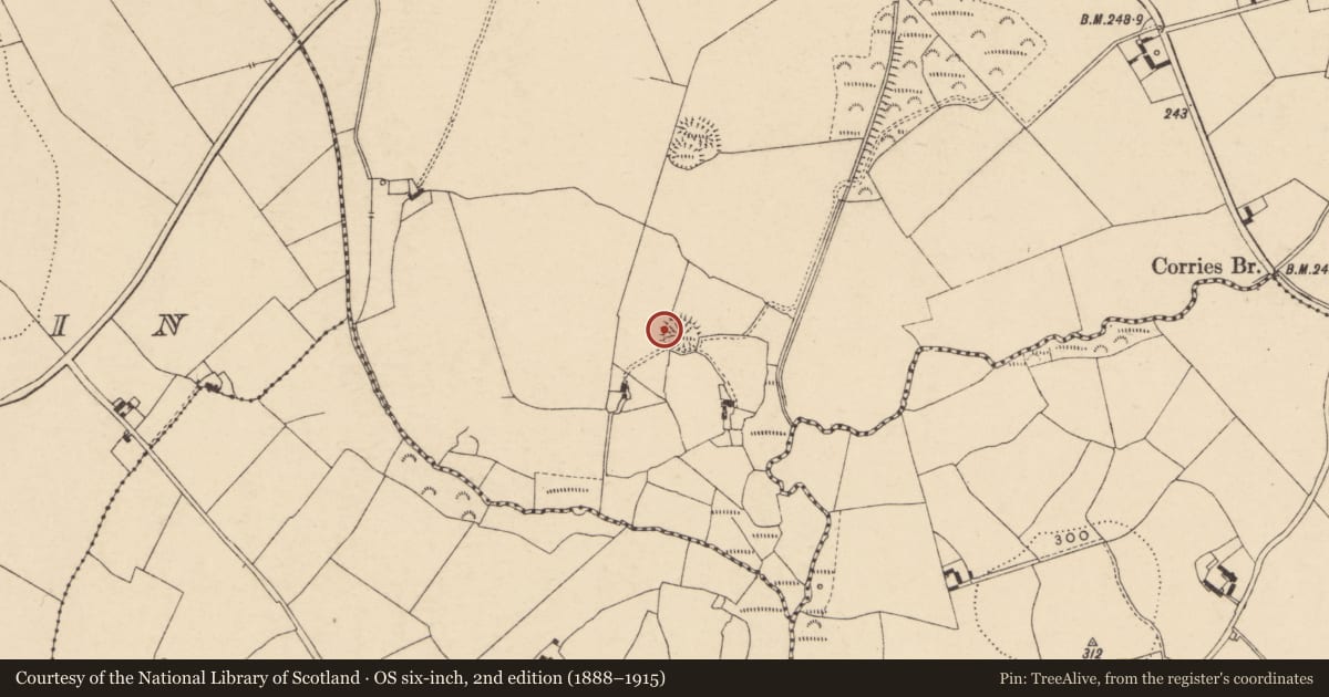 Ordnance Survey six-inch map, 2nd edition (1888–1915) covering the location of Enclosure, Corries Or Corrymore, County Carlow, with a pin at the register's coordinates
