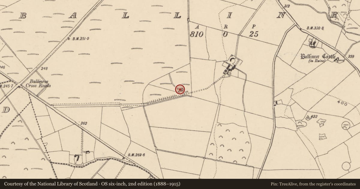 Ordnance Survey six-inch map, 2nd edition (1888–1915) covering the location of Charcoal-making site, Ballinree, County Carlow, with a pin at the register's coordinates