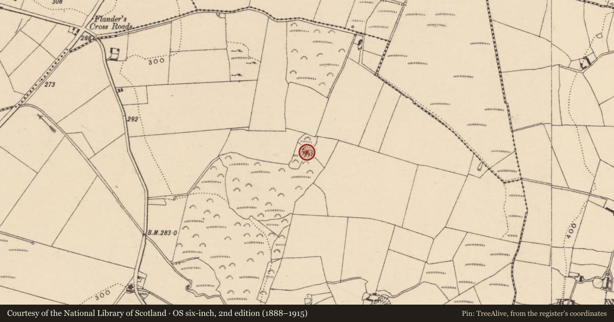 Ordnance Survey six-inch map, 2nd edition (1888–1915) covering the location of Ringfort - rath, Ballinree, County Carlow, with a pin at the register's coordinates