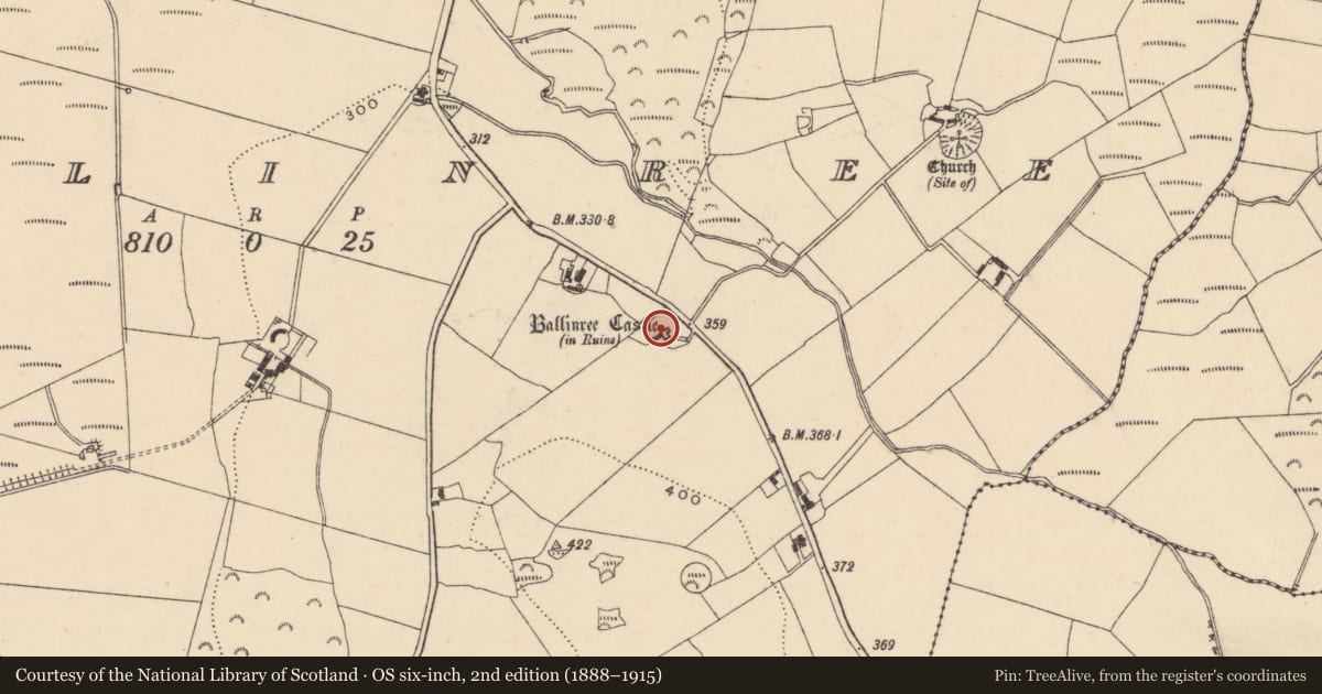 Ordnance Survey six-inch map, 2nd edition (1888–1915) covering the location of Castle - unclassified, Ballinree, County Carlow, with a pin at the register's coordinates