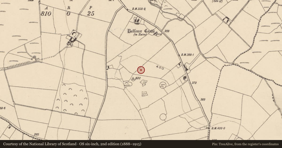 Ordnance Survey six-inch map, 2nd edition (1888–1915) covering the location of Earthwork, Ballinree, County Carlow, with a pin at the register's coordinates