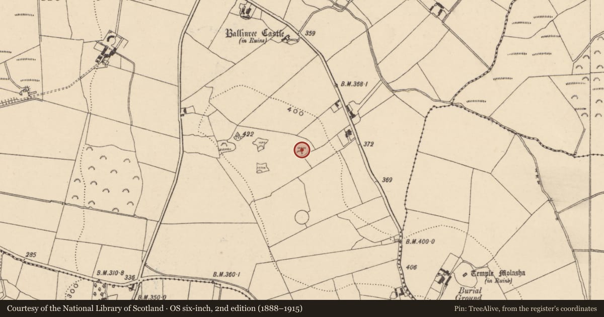 Ordnance Survey six-inch map, 2nd edition (1888–1915) covering the location of Enclosure, Ballinree, County Carlow, with a pin at the register's coordinates