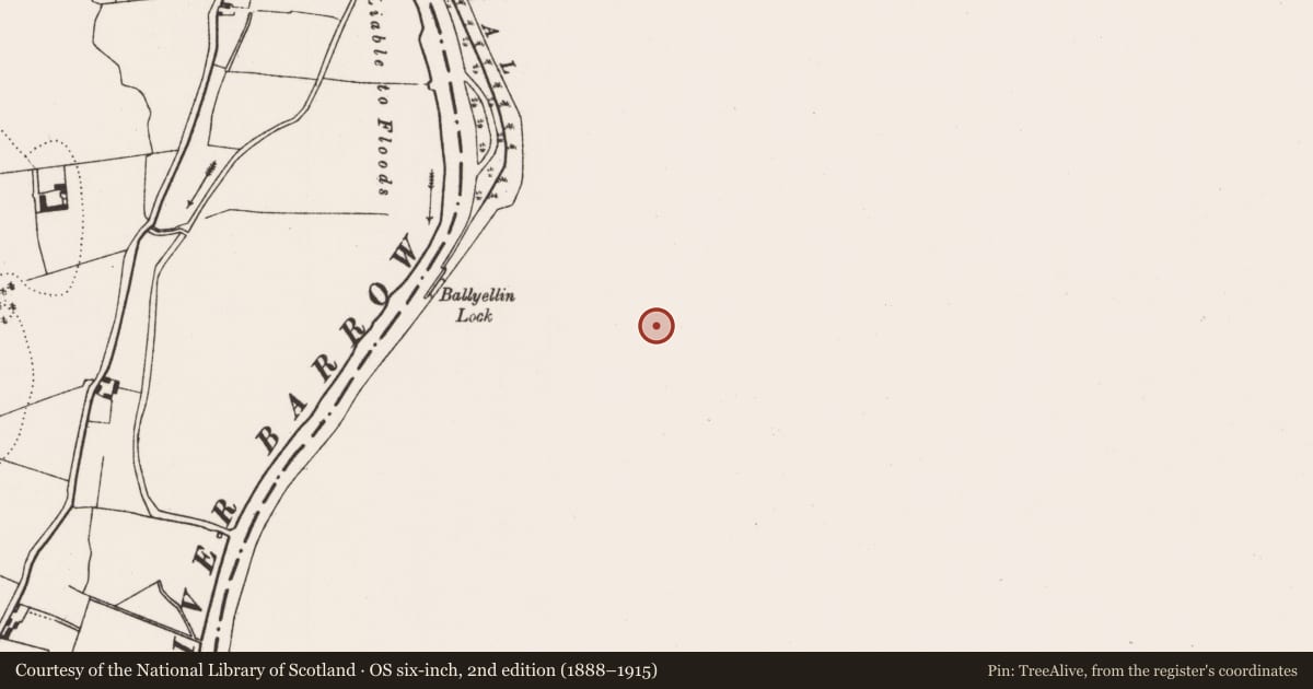 Ordnance Survey six-inch map, 2nd edition (1888–1915) covering the location of Enclosure, Ballyellin And Tomdarragh, County Carlow, with a pin at the register's coordinates