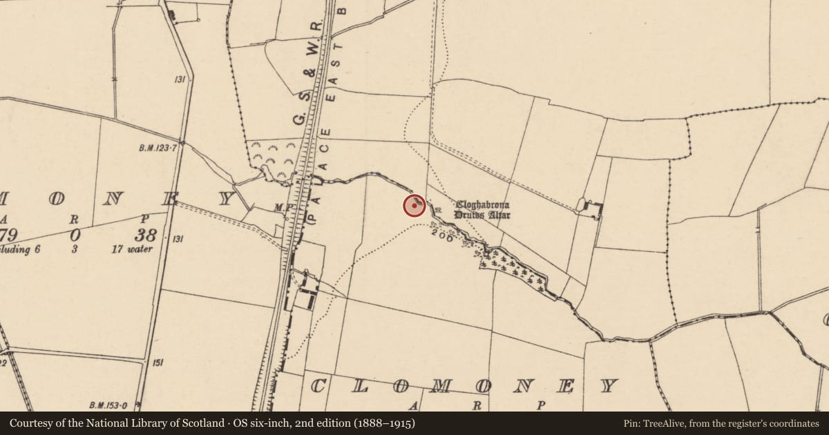 Ordnance Survey six-inch map, 2nd edition (1888–1915) covering the location of Megalithic tomb - portal tomb, Kilgraney, County Carlow, with a pin at the register's coordinates