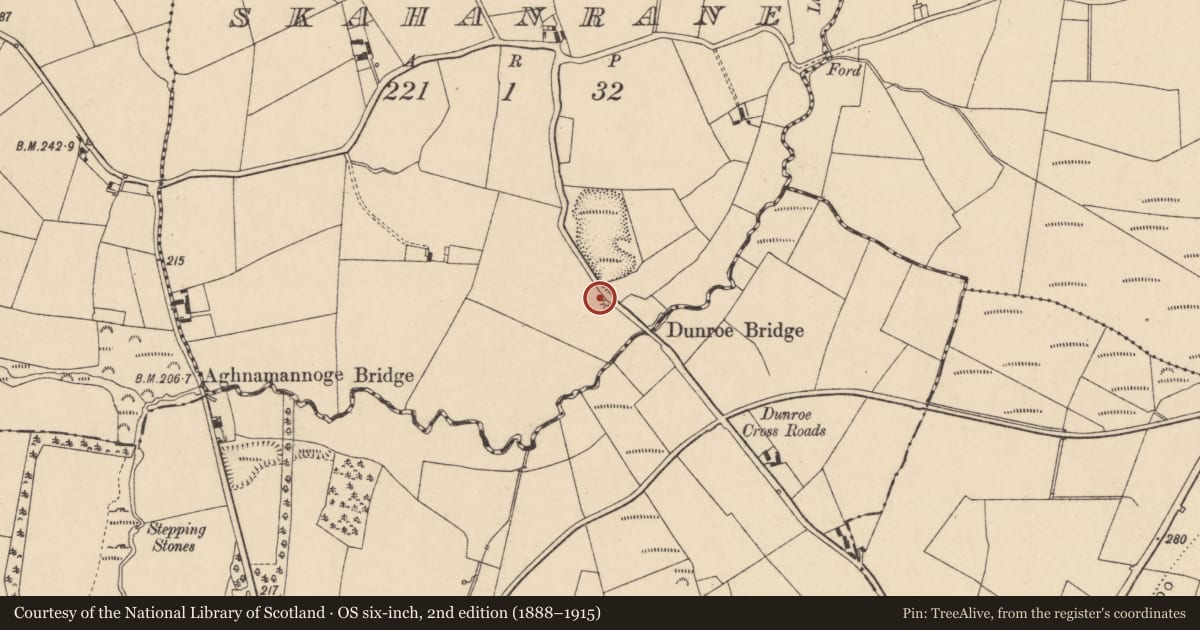 Ordnance Survey six-inch map, 2nd edition (1888–1915) covering the location of Kiln - lime, Skahanrane, County Carlow, with a pin at the register's coordinates