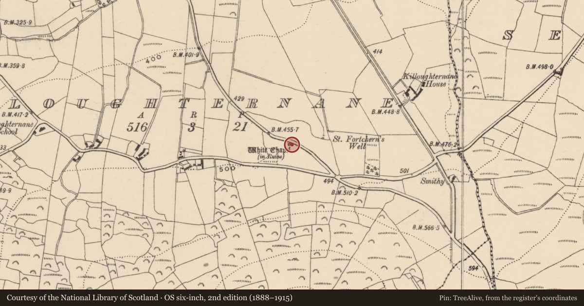 Ordnance Survey six-inch map, 2nd edition (1888–1915) covering the location of Church, Killoughternane, County Carlow, with a pin at the register's coordinates