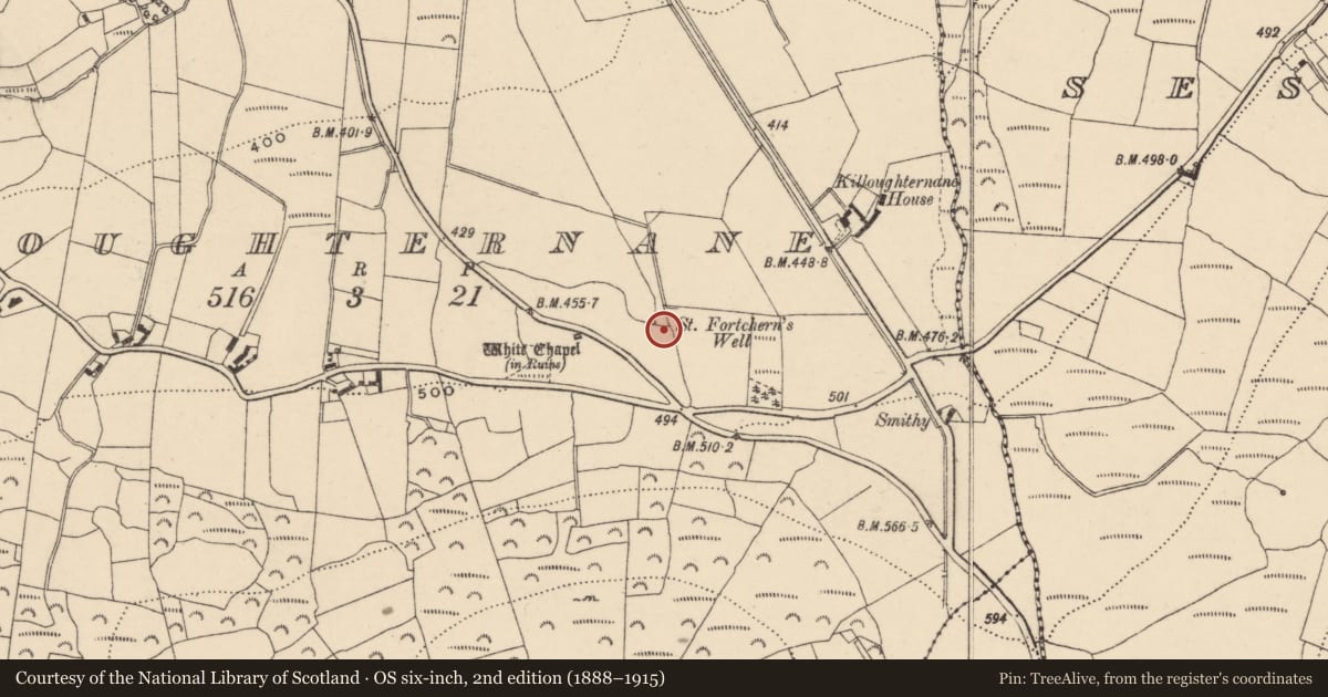 Ordnance Survey six-inch map, 2nd edition (1888–1915) covering the location of Bullaun stone, Killoughternane, County Carlow, with a pin at the register's coordinates