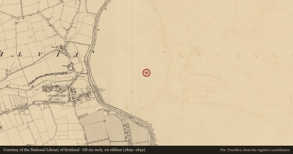 Ordnance Survey six-inch map, 1st edition (1829–1842) covering the location of Font, Ballyellin And Tomdarragh, County Carlow, with a pin at the register's coordinates