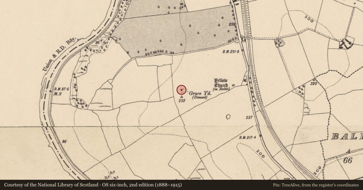 Ordnance Survey six-inch map, 2nd edition (1888–1915) covering the location of Burial ground, Ballyellin And Tomdarragh, County Carlow, with a pin at the register's coordinates