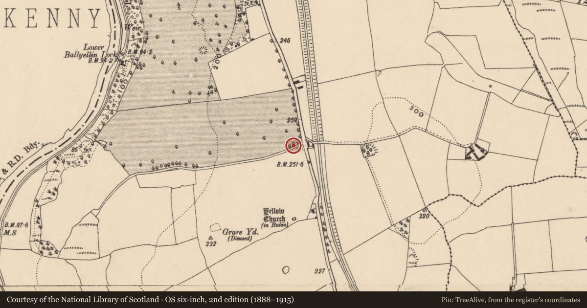 Ordnance Survey six-inch map, 2nd edition (1888–1915) covering the location of Cairn - unclassified, Ballyellin And Tomdarragh, County Carlow, with a pin at the register's coordinates