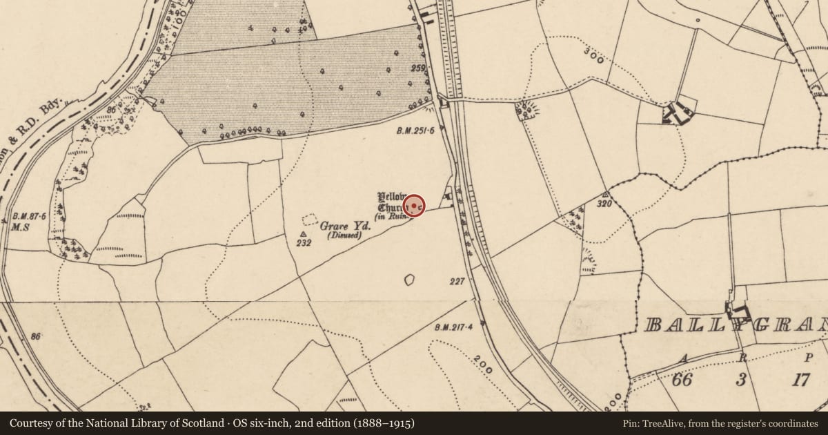Ordnance Survey six-inch map, 2nd edition (1888–1915) covering the location of Church, Ballyellin And Tomdarragh, County Carlow, with a pin at the register's coordinates